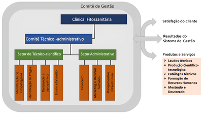 Estrutura Organizacional